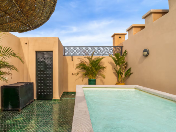 74ac46a3-d972-4655-b92d-ecd39dfc1e01 (Grande)